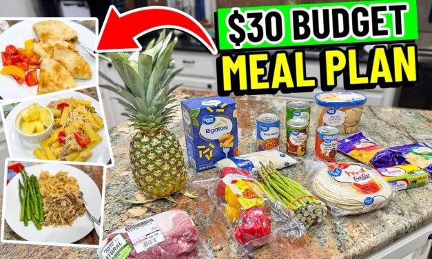 $30 Budget Family Meal Plan in 2025:  Easy & CHEAP!