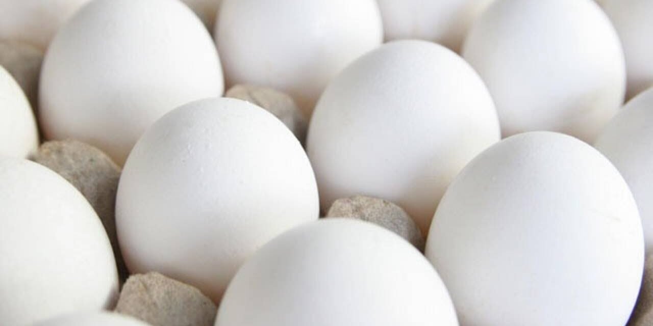 5 Nutrition Myths Busted!