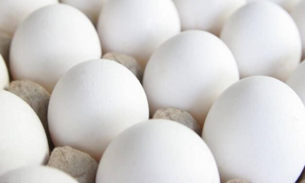 5 nutrition myths busted