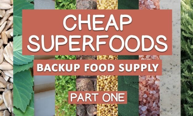 Cheap Superfoods List Part One, For Emergency Backstock