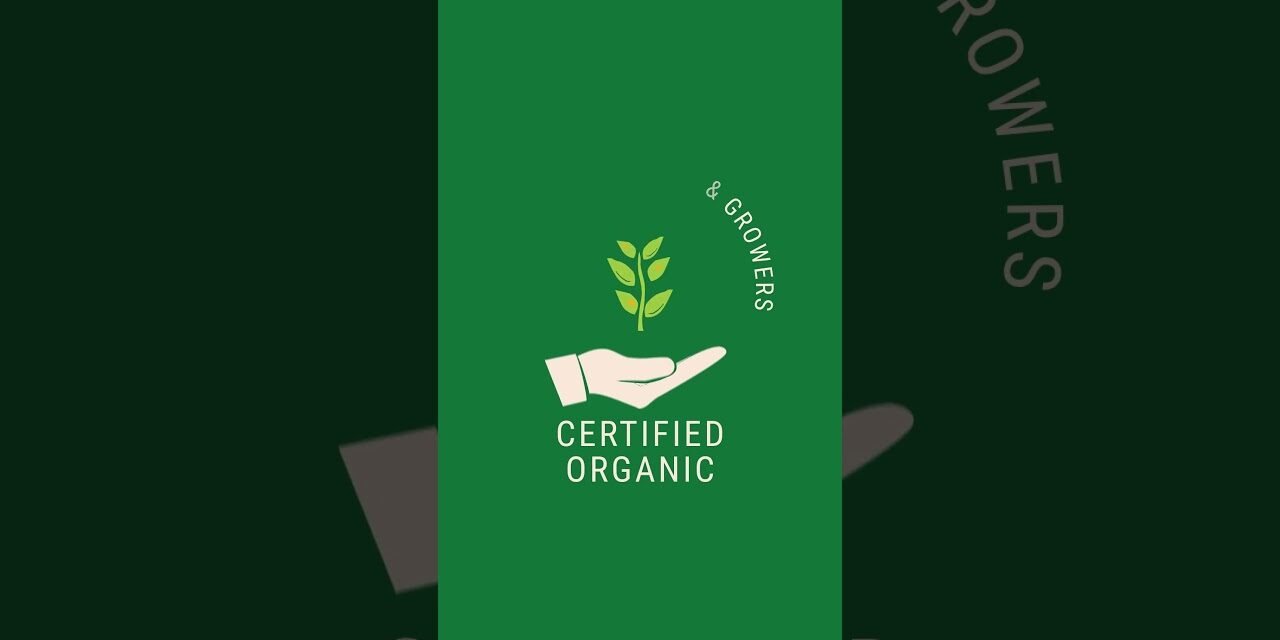 Transform Your Skin Naturally with Goodsense Superfoods. 16-Ingredient Certified Organic Blend