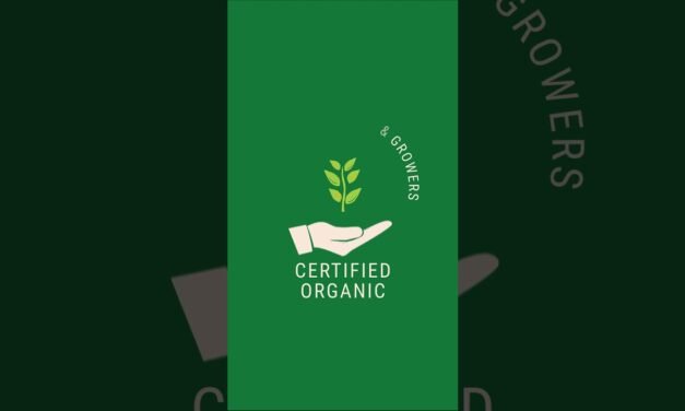 Transform Your Skin Naturally with Goodsense Superfoods. 16-Ingredient Certified Organic Blend