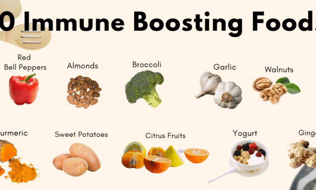 Boost Your Immunity Naturally: Top Foods That Support a Strong Immune System