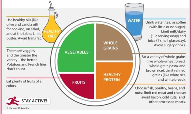 10 Simple Rules for Building a Balanced Plate