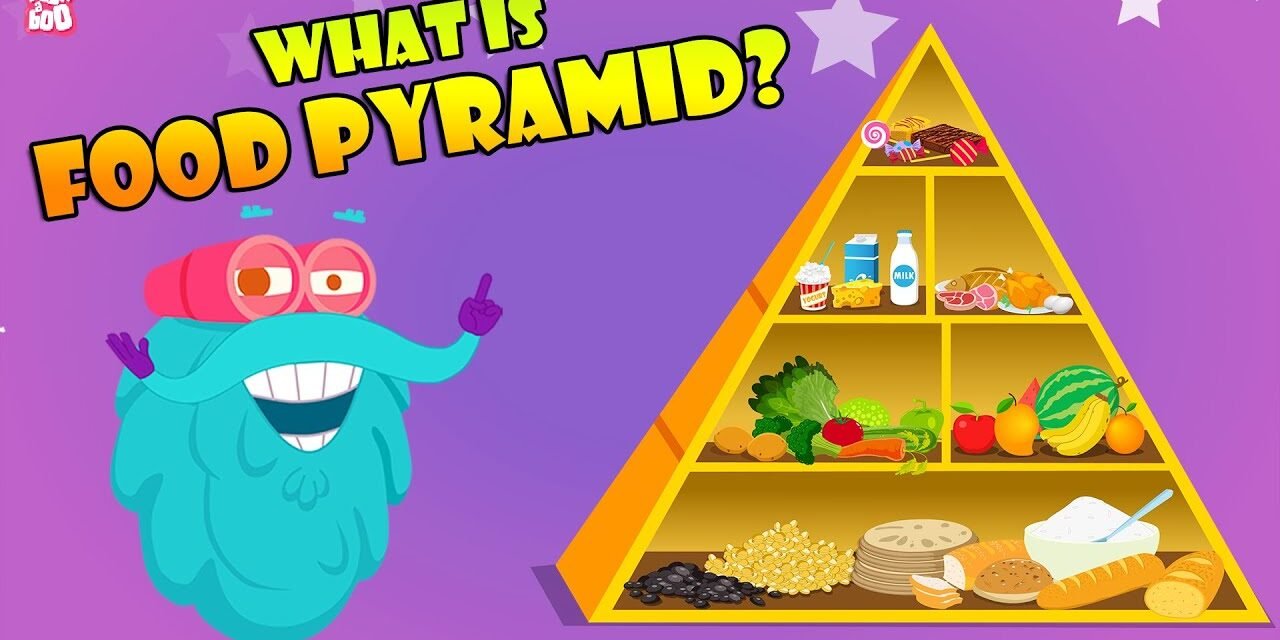 FOOD PYRAMID | How Different Foods Affect Your Body | The Dr Binocs Show | Peekaboo Kidz