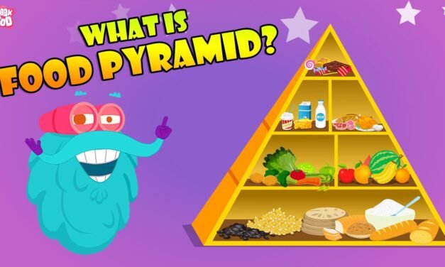 FOOD PYRAMID | How Different Foods Affect Your Body | The Dr Binocs Show | Peekaboo Kidz