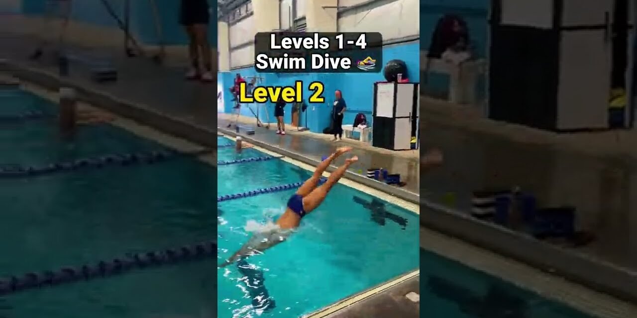 How To Dive for Swimming (Levels 1-4)