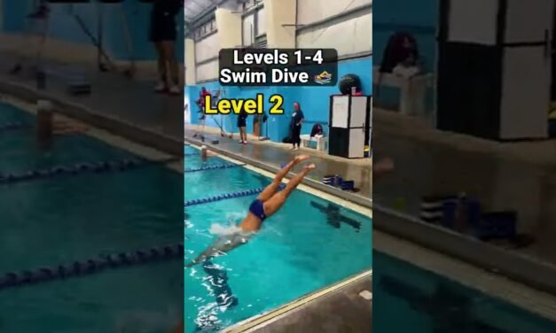 How To Dive for Swimming (Levels 1-4)