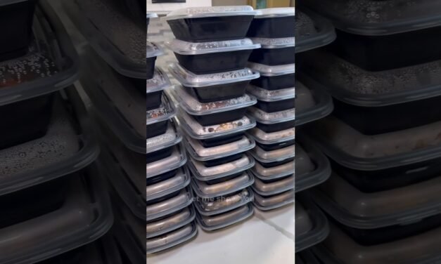 Storing Meal Prep and Keeping it Fresh