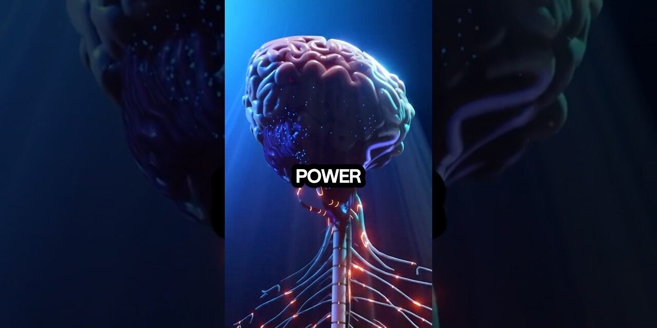 Superfoods- 4 Ingredients for Better Memory