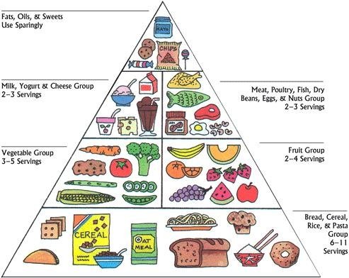 The Essential Food Groups and Why Your Body Needs Them