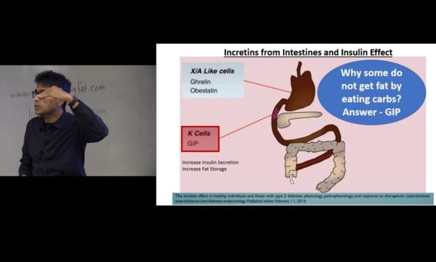 A Deep Dive into Intermittent Fasting, Lean Mass and Metabolic Rate