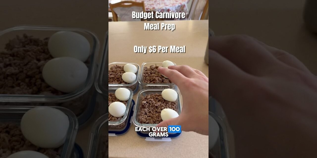 High Protein Budget Carnivore Meal prep over 100g protein per meal, zero carbs #mealideas #carnivore