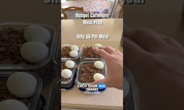 High Protein Budget Carnivore Meal prep over 100g protein per meal, zero carbs #mealideas #carnivore