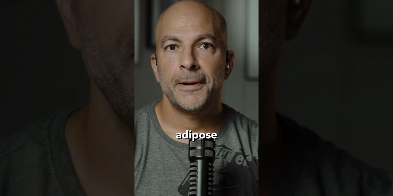 What is the best diet for longevity?