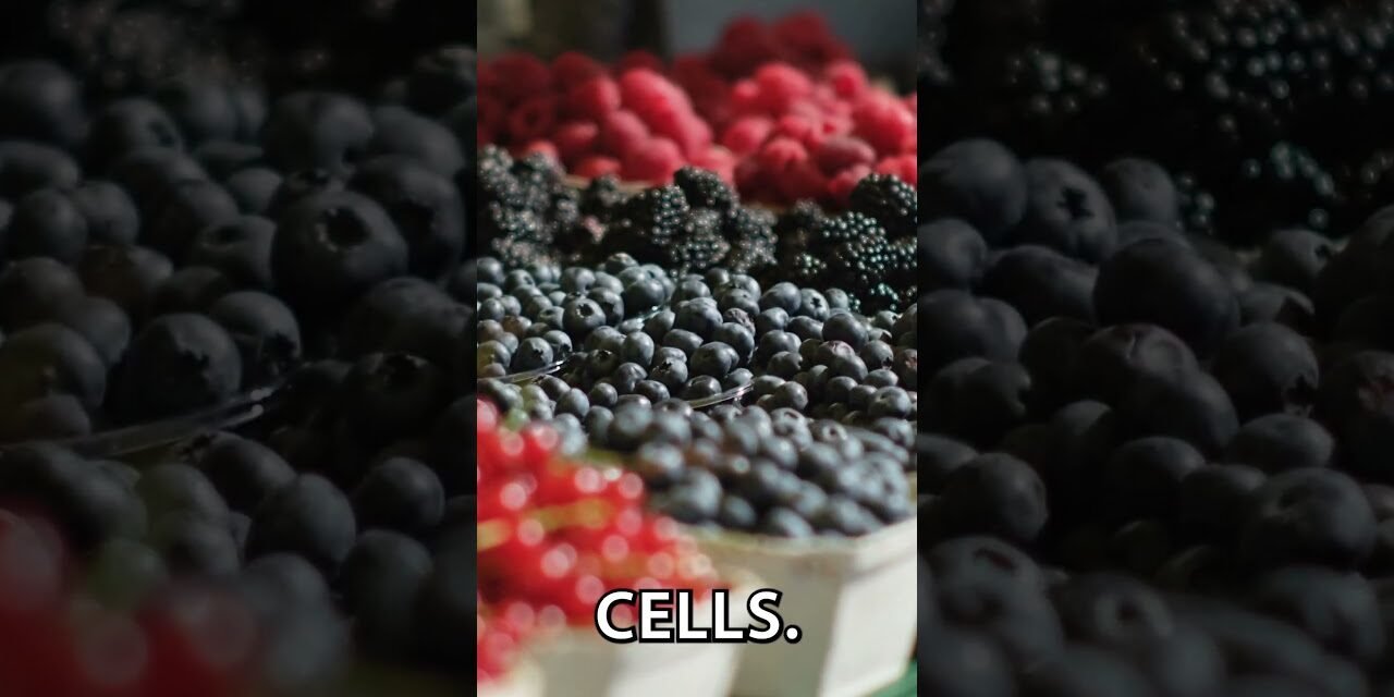 Top 10 Anti Cancer Foods (Part 1) – YOU NEED TO EAT THESE!