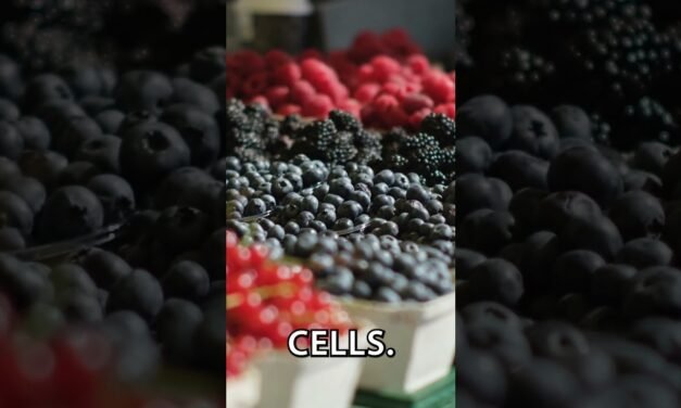 Top 10 Anti Cancer Foods (Part 1) – YOU NEED TO EAT THESE!