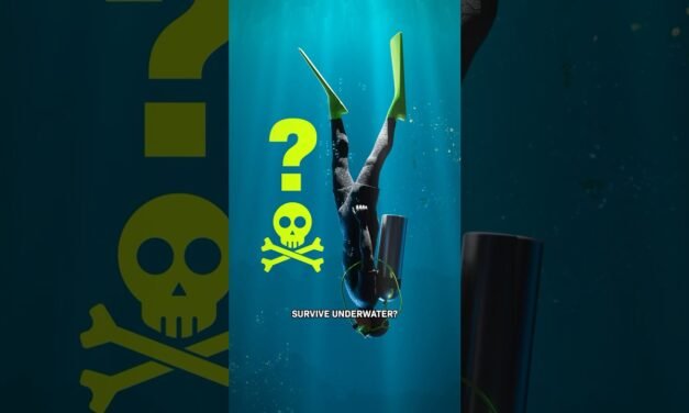 What Would Happen To Your Body In The Deep Ocean?