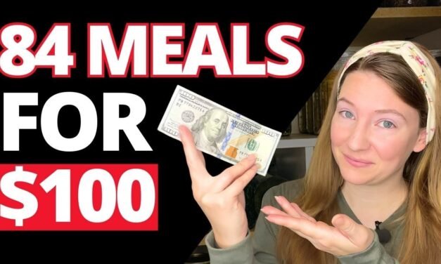 $100 BUDGET Meal Plan for a Family of 4