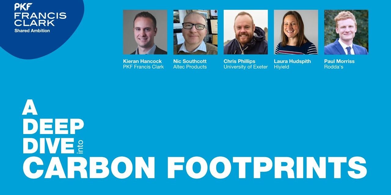 A Deep Dive into… Eating the (carbon) elephant | PKF Francis Clark