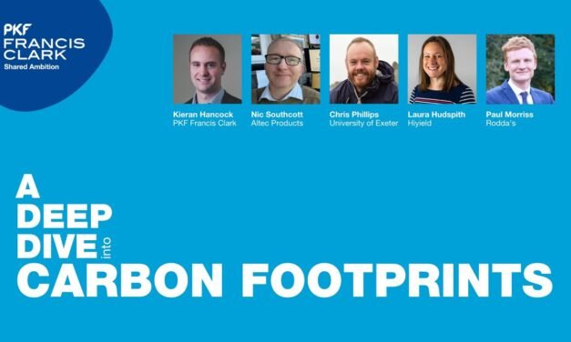A Deep Dive into… Eating the (carbon) elephant | PKF Francis Clark