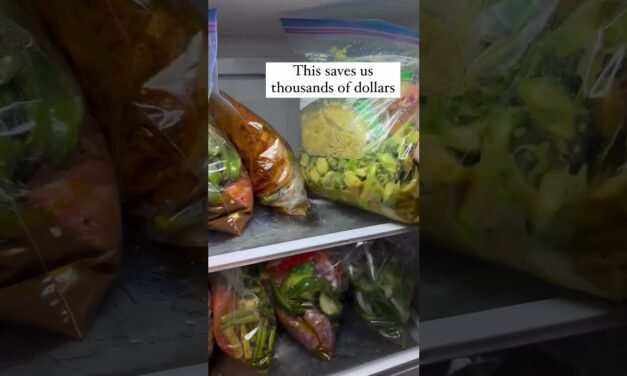 Change Your Life with Freezer Meal Prep!