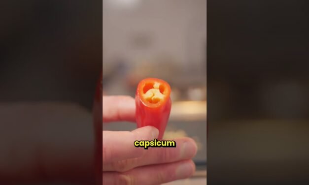 Food hacks to make life 42 times better
