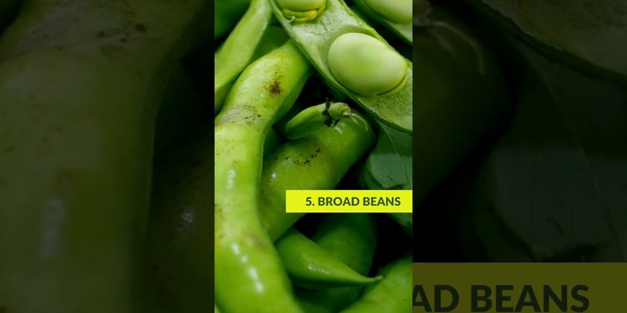 Top 10 Foods High In Tyramine #tyraminefoods #healthyfood #superfoods