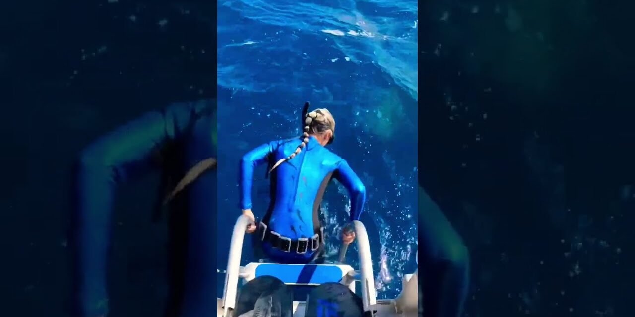 Never Jump Into The Ocean or Else THIS Will Happen! #shorts