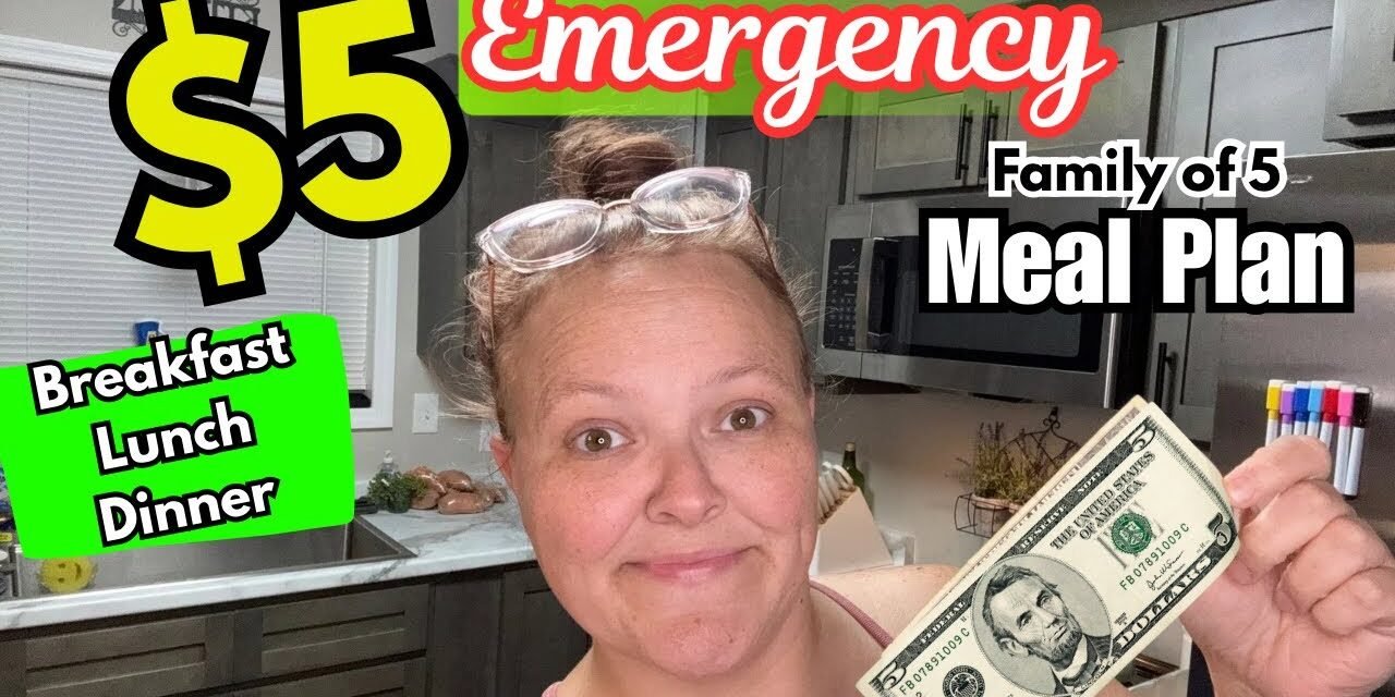 $5 EMERGENCY Meal Plan Makes Breakfast, Lunch, & Dinner For My Family Of 5 || Meals For Hard Times