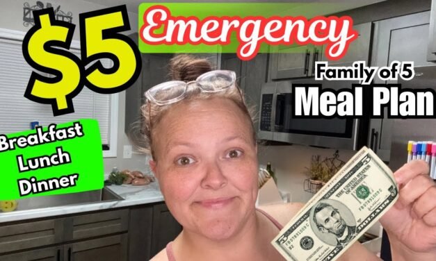 $5 EMERGENCY Meal Plan Makes Breakfast, Lunch, & Dinner For My Family Of 5 || Meals For Hard Times