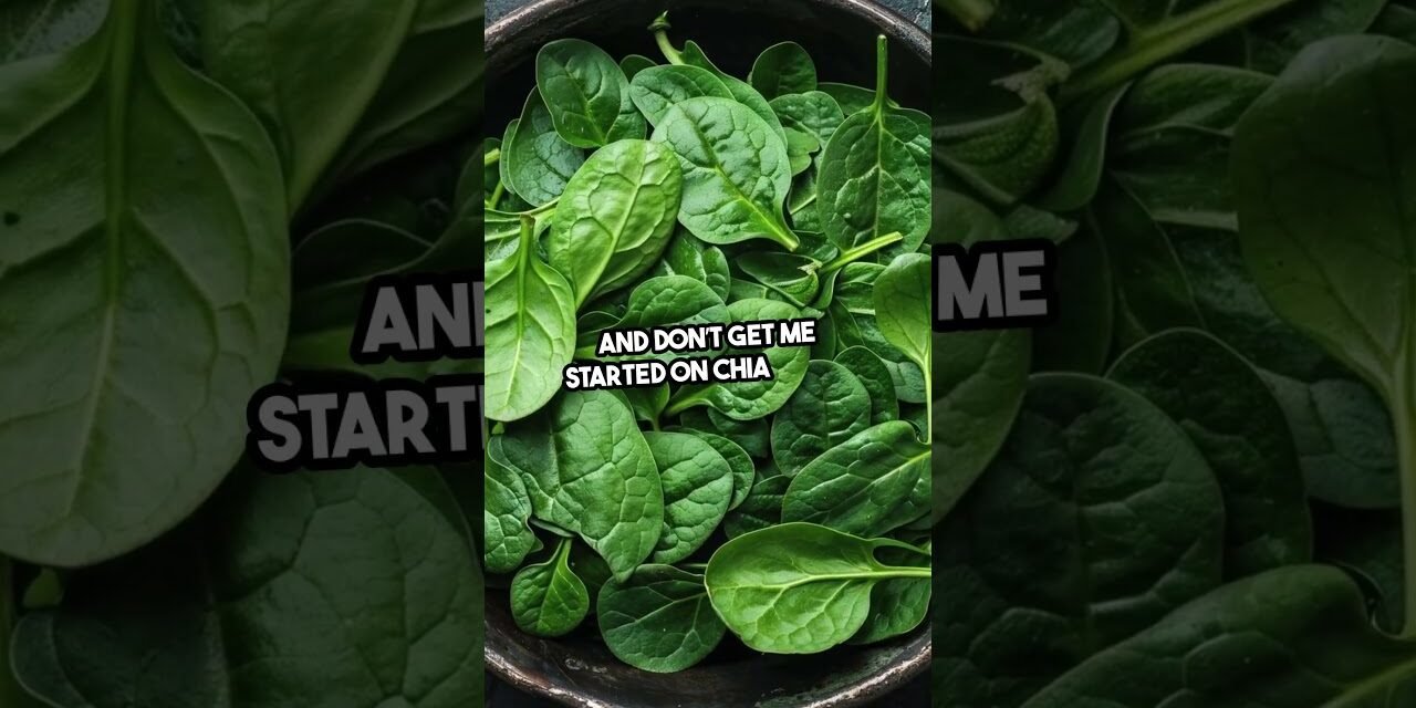 Superfoods: The Truth Behind the Hype!