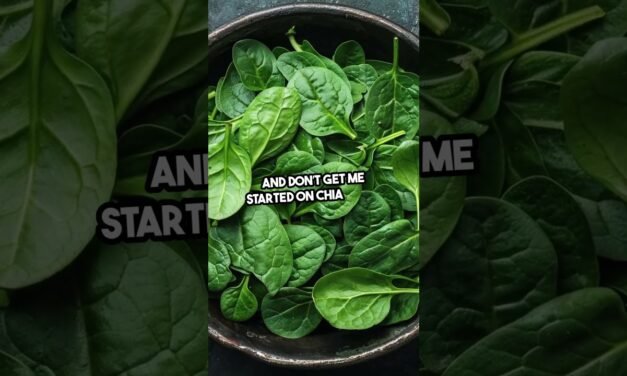 Superfoods: The Truth Behind the Hype!