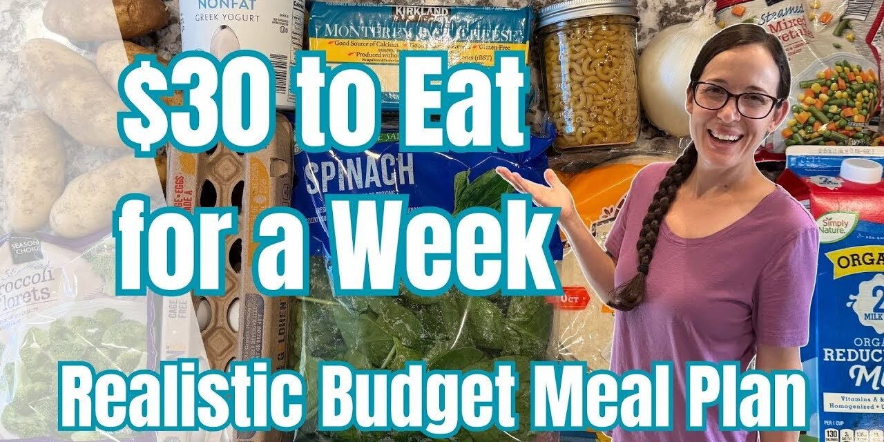 $30 for 7 Days | Small Budget Meal Plan | Realistic Kid Friendly Recipes