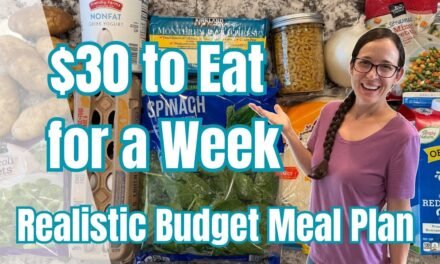 $30 for 7 Days | Small Budget Meal Plan | Realistic Kid Friendly Recipes