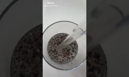 Chia Seeds Water for your ABS | Best NATURAL weight loss drink