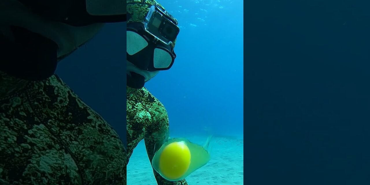 Diver Cracks Egg at 45 ft Deep #Shorts