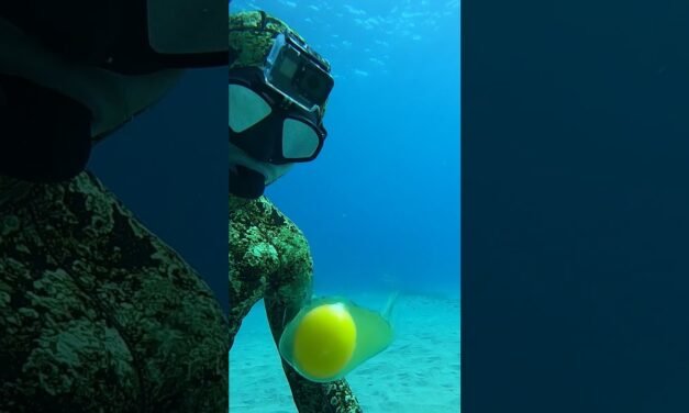 Diver Cracks Egg at 45 ft Deep #Shorts