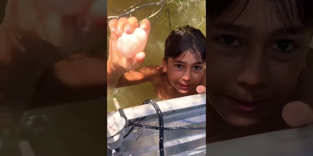 KID vs SHARK! #shorts