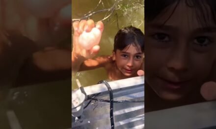 KID vs SHARK! #shorts