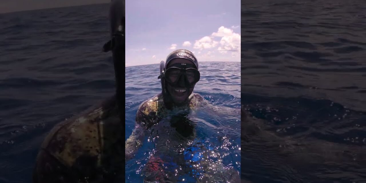 MASSIVE Marlin Attacks Me (& steals my tuna)