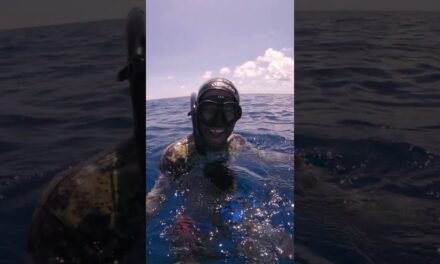 MASSIVE Marlin Attacks Me (& steals my tuna)