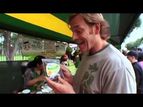 Shakeology Nutrition and Ingredients  Superfoods from Latin America