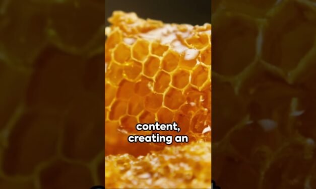 The Antibacterial Power of Honey #health #food #superfoods #nutrition