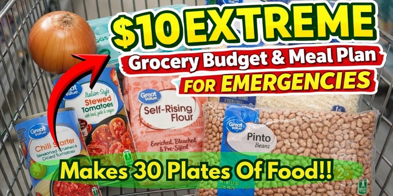 $10 Extreme Grocery Budget & Meal Plan For Emergencies When $$ Is Tight | Tasty+Simple= Full Bellies