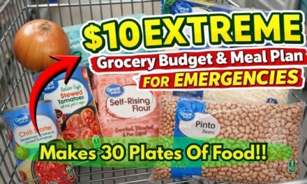 $10 Extreme Grocery Budget & Meal Plan For Emergencies When $$ Is Tight | Tasty+Simple= Full Bellies