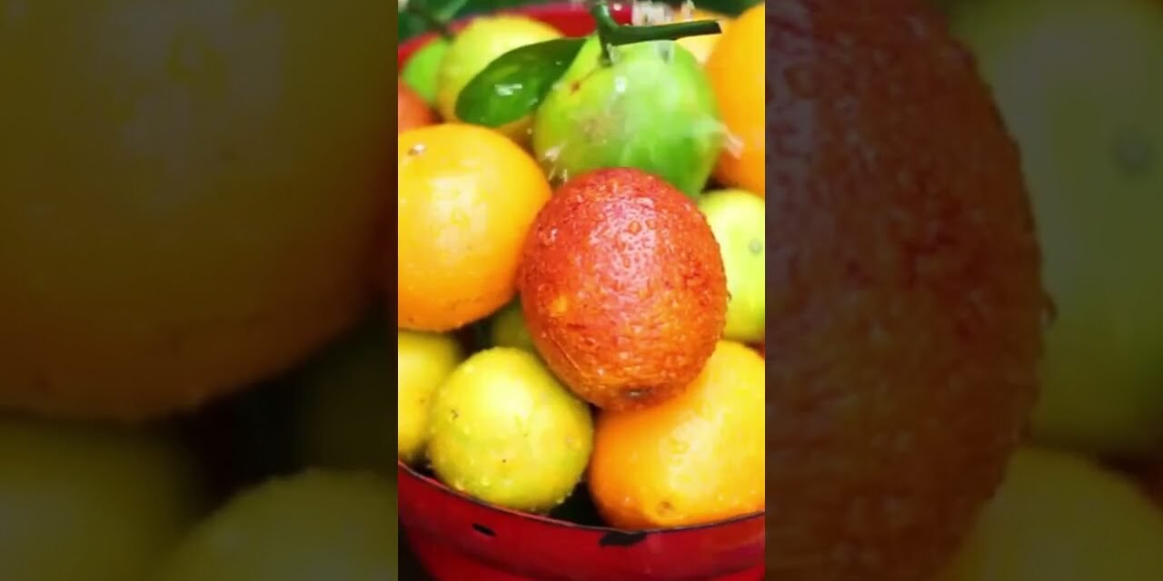 Boost Your Immunity with Everyday Foods #HealthyLiving #Superfoods #BoostImmunity