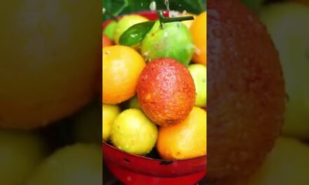 Boost Your Immunity with Everyday Foods #HealthyLiving #Superfoods #BoostImmunity