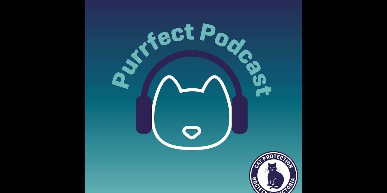 Cat Nutrition Myths Busted