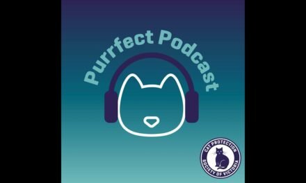 Cat Nutrition Myths Busted